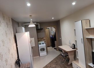 Сдается квартира студия, 26 м2, Мурино, Петровский бульвар, ЖК Ласточка