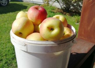 Дача на продажу, 40 м2, Бердск, 8-я улица