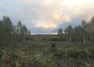 Продается участок, 8 сот., село Кунгурка, Рабоче-Крестьянская улица