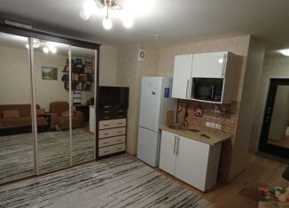 Продам квартиру студию, 22.3 м2, Санкт-Петербург, ЖК Живи в Рыбацком, Советский проспект, 39к1