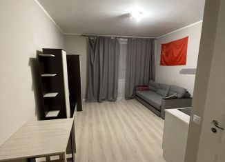 Продается квартира студия, 27 м2, Санкт-Петербург, Русановская улица, ЖК Ласточкино Гнездо