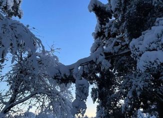 Сдаю дом, 75 м2, коттеджный посёлок Сосновские Озера-2