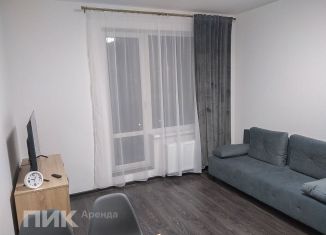 Сдача в аренду 1-ком. квартиры, 34.8 м2, Санкт-Петербург, Арцеуловская аллея, 17, Приморский район