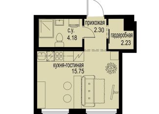 Квартира на продажу студия, 24.5 м2, Ленинградская область
