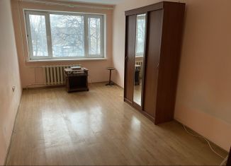 Сдается в аренду однокомнатная квартира, 30 м2, село Нижегородка, улица Чапаева, 29/1