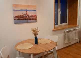 Сдам в аренду однокомнатную квартиру, 30 м2, Владимир, 1-я Пионерская улица, 88Г