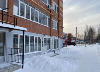 Помещение свободного назначения на продажу, 87.3 м2, Йошкар-Ола, Западная улица, 29, микрорайон Фестивальный