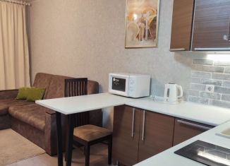 Сдается квартира студия, 30 м2, Томск, Киевская улица, 1