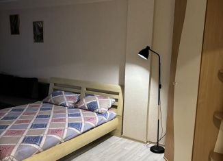 Сдам в аренду 1-ком. квартиру, 40 м2, Татарстан, Автозаводский проспект, 59А