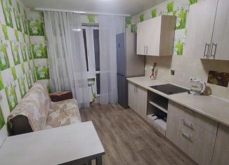 Однокомнатная квартира в аренду, 45 м2, Омск, Пригородная улица, 23