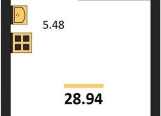 Продажа квартиры студии, 28.9 м2, Пионерский