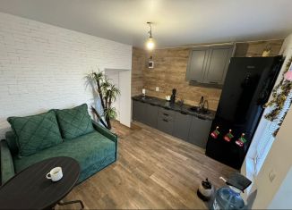 Продажа дома, 160 м2, село Уютное, Каштановая улица, 20