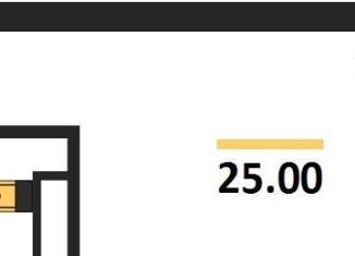 1-комнатная квартира на продажу, 25 м2, Пионерский