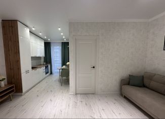 Продаю 1-комнатную квартиру, 42 м2, Ростов-на-Дону, улица Ларина, 45с6, ЖК Сердце Ростова 2