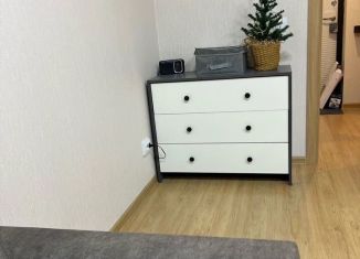 Аренда квартиры студии, 25 м2, деревня Кондратово, Водопроводная улица, 1