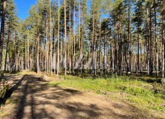 Продается участок, 25 сот., деревня Варшко, Сосновая улица, 3/39