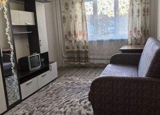 Сдается 1-ком. квартира, 30 м2, Дмитров, микрорайон имени А.М. Маркова, 41