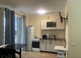 Сдается в аренду квартира студия, 29 м2, поселок городского типа Стройкерамика, улица Николая Симонова, 11