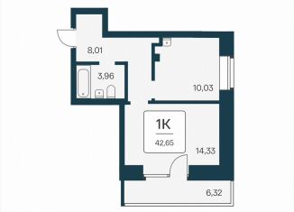 Продается 1-комнатная квартира, 42.7 м2, Новосибирск