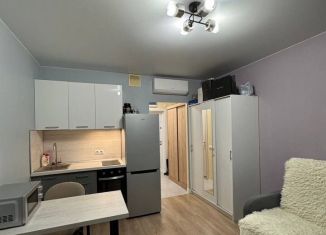 Аренда 1-комнатной квартиры, 20 м2, Москва, Ильменский проезд, 17к2, САО