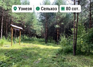 Земельный участок на продажу, 80 сот., Республика Алтай