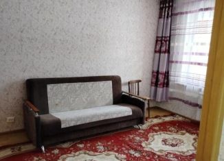 Сдается в аренду 1-ком. квартира, 50 м2, Иркутск, микрорайон Берёзовый, 106