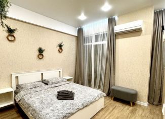 Аренда квартиры студии, 30 м2, Краснодарский край, улица Кирова, 35