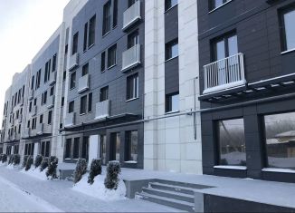 Продажа двухкомнатной квартиры, 53 м2, посёлок Пригородный, Лесная улица, 2Е, ЖК Белый остров