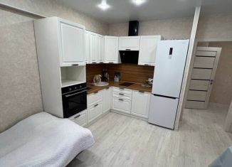 Сдается в аренду 1-ком. квартира, 44 м2, Иркутск, Братская улица, 7/9, ЖК Простор