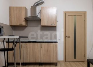 Продам квартиру студию, 21.8 м2, Кудрово, Пражская улица, 13, ЖК Вернисаж