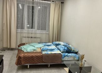 Сдается однокомнатная квартира, 36 м2, Марий Эл, улица Петрова, 27Б