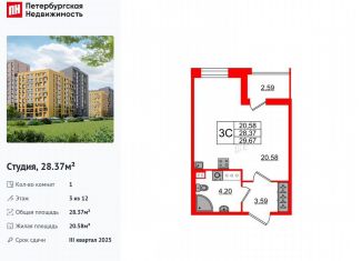 Продается квартира студия, 28.4 м2, Санкт-Петербург, метро Озерки