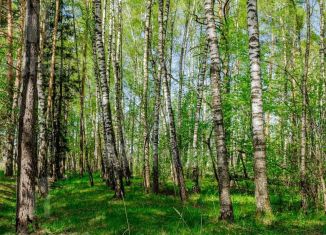 Продажа земельного участка, 45 сот., деревня Тимошкино