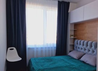 Сдам 1-ком. квартиру, 38 м2, Санкт-Петербург, Фарфоровская улица, 7к1, метро Елизаровская