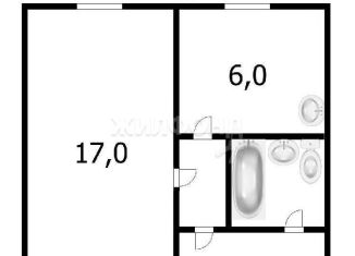 Продается 1-комнатная квартира, 30 м2, Новосибирск, улица Толстого, 185, метро Речной вокзал