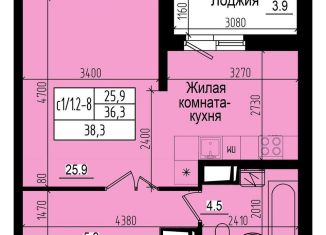 Продаю квартиру студию, 27.8 м2, посёлок Парголово, Ольгинская дорога, 3/20