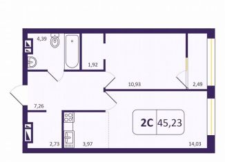 Продажа 1-комнатной квартиры, 45 м2, Новосибирск, Кировский район