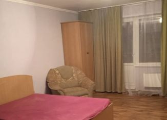 Квартира в аренду студия, 40 м2, Новосибирск, улица Татьяны Снежиной, 31/3, Октябрьский район