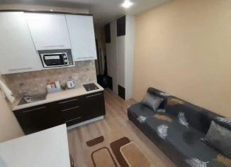 Квартира в аренду студия, 17 м2, Тюмень, улица Новосёлов, 115