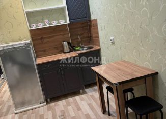 Сдам квартиру студию, 20 м2, Новосибирск, улица Твардовского, 22/6