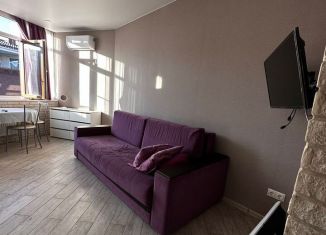 Аренда однокомнатной квартиры, 30 м2, посёлок городского типа Сириус, улица Станиславского, 19Б