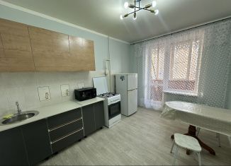 Сдается 1-ком. квартира, 49 м2, Омск, проспект Комарова, 17к1