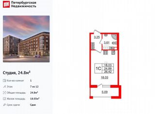 Продажа квартиры студии, 24.8 м2, Санкт-Петербург, Уральская улица, 23, муниципальный округ Остров Декабристов