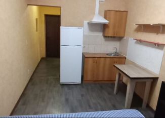 Сдается квартира студия, 21 м2, Пензенская область, улица Лермонтова, 3к4