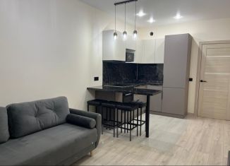 Сдаю в аренду 2-ком. квартиру, 48 м2, Пермский край, улица Шмидта, 56Б