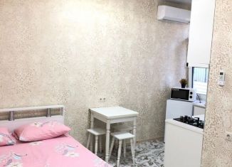 Продам квартиру студию, 18 м2, Сочи, Волжская улица, микрорайон Мамайка
