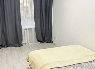 Сдам в аренду 2-ком. квартиру, 40.6 м2, Екатеринбург, улица Челюскинцев, 19, метро Динамо