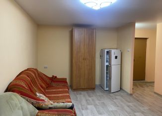 Сдаю в аренду однокомнатную квартиру, 27.5 м2, Свердловская область, улица Максима Горького, 33А