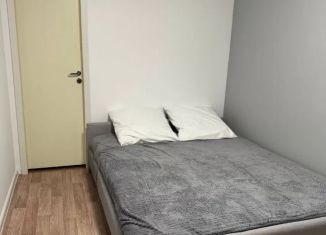 Сдача в аренду 2-ком. квартиры, 48 м2, Казань, улица Татарстан, 60