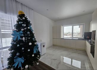 Продаю дом, 65 м2, деревня Старые Киешки